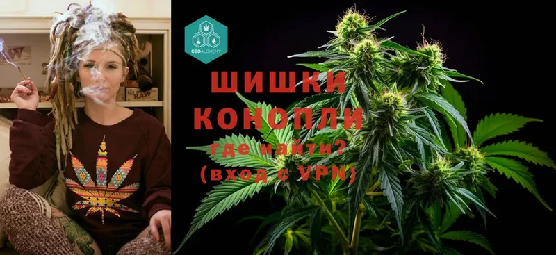 Конопля SATIVA & INDICA  Вольск 